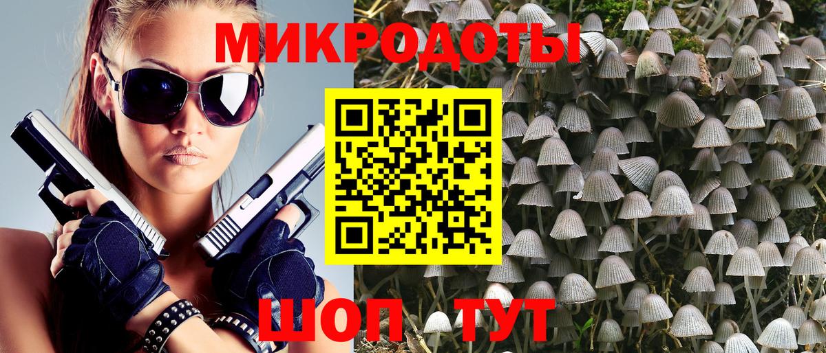 Жигулёвск  Галлюциногенные грибы прущие грибы  Вход с VPN 