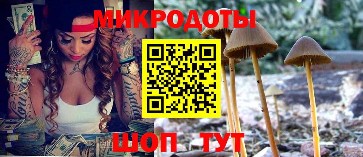 Псилоцибиновые грибы GOLDEN TEACHER Жигулёвск
